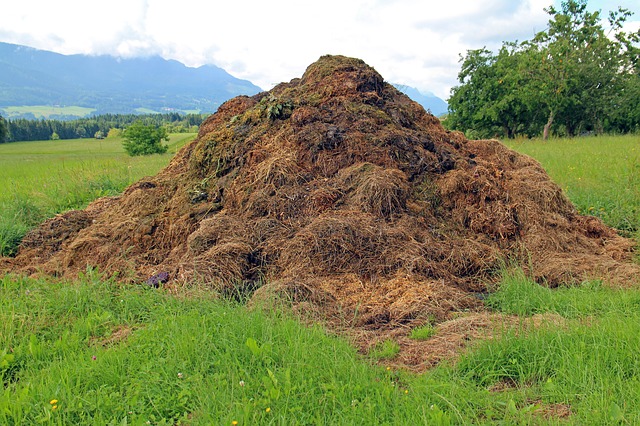 Bio-bricks synthesized from agro-waste by IIT-KIIT