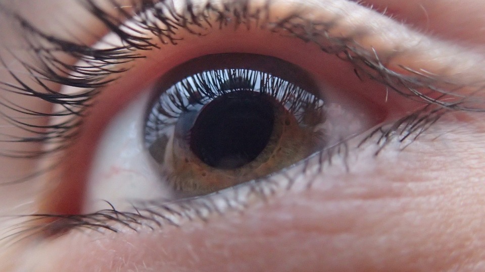 Defunding of visually impaired pupils rampant: UK