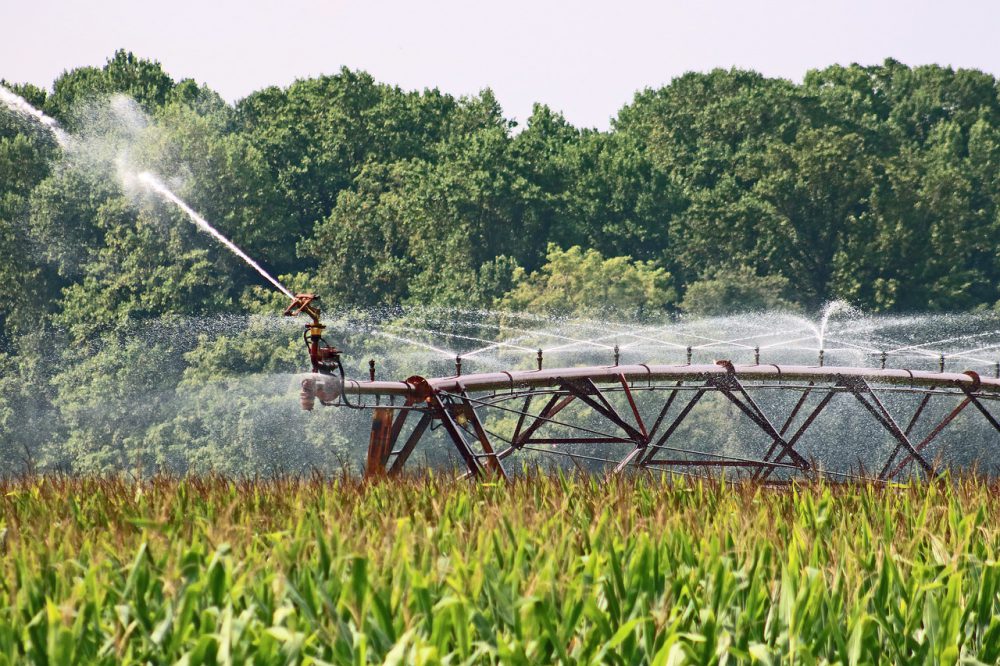 University of Birmingham project to help the middle east irrigation problem