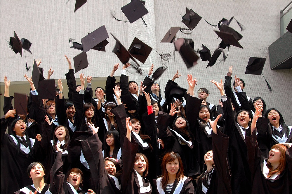higher education institutions