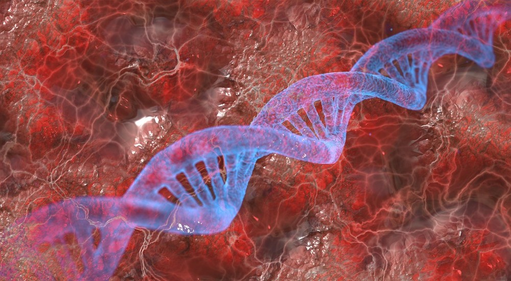Torrent service with 33 terabytes of scientific research data fights for survival