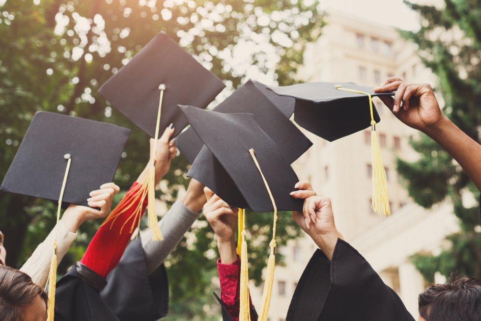 Australia international students application falls, federal figures show